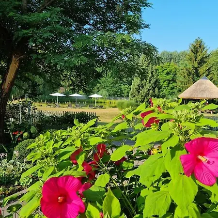 Cottage1 In Nature Swimming Pond Pool Sauna Holiday home